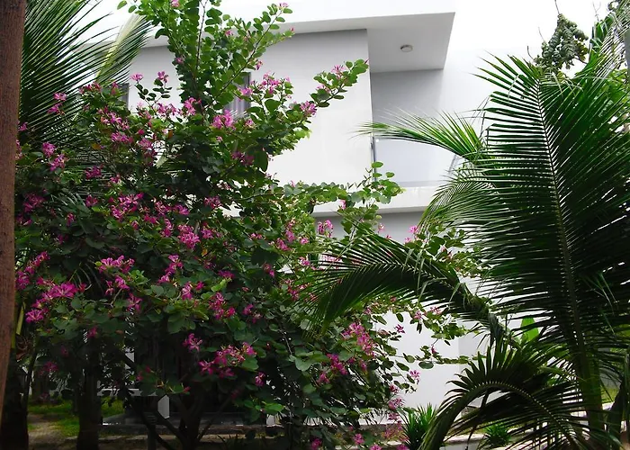 Villa Nguyen Minihouse
