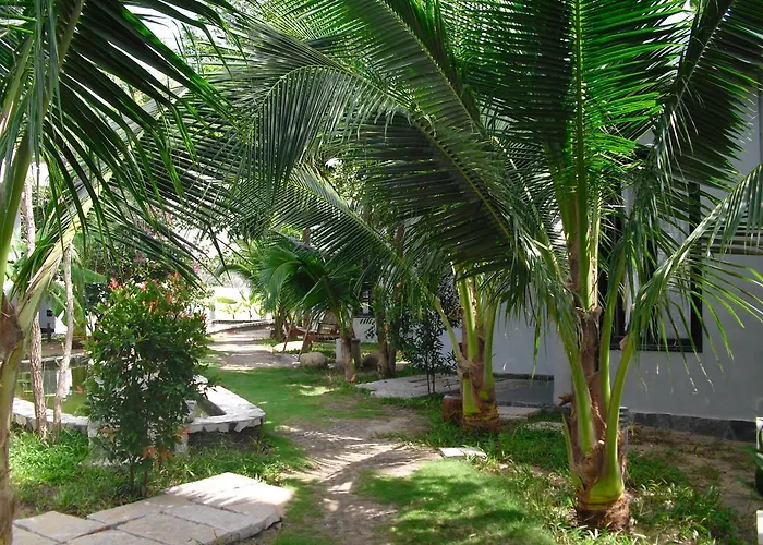 Villa Nguyen Minihouse