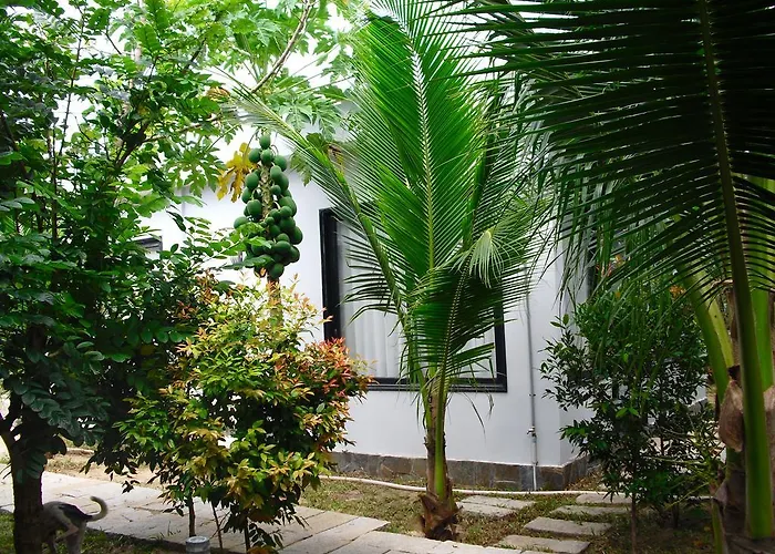 Nguyen Minihouse